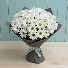 Букет цветов из:  Хризантемы #REPLACE_PRED# Теплоозерске