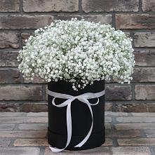 Цветочная композиция из Гипсофила в шляпной коробке #REPLACE_PRED# Теплоозерске